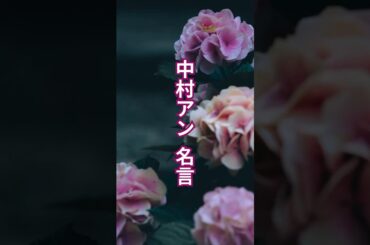 中村アン  名言