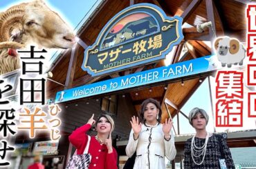 世界中の羊が見られるマザー牧場のシープショーで執拗に吉田羊を探す女装たち【マザー牧場ドライブ②】