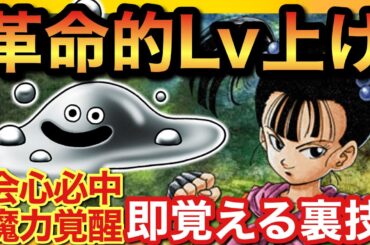 【ドラクエ3リメイク】最高率レベル上げ！会心必中を4倍早く覚えさせる仕様を使った裏技解説【Dragon quest】