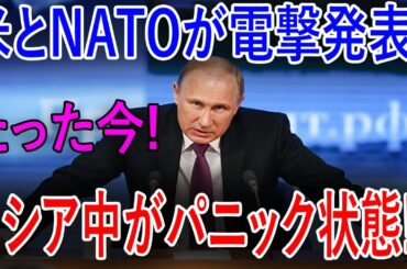 最新ニュース 2024年11月24日