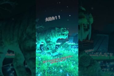 【イルミネーション】Wonder Night Hill 2024　#ハーベストの丘