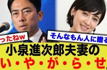 小泉進次郎・滝川クリステル夫妻が贈ったキモ過ぎる出産祝いにネットで総ツッコミが入るw