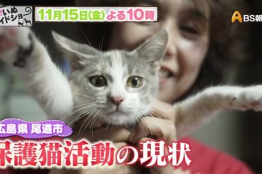 ゲスト：足立梨花【ネコいぬワイドショー】
