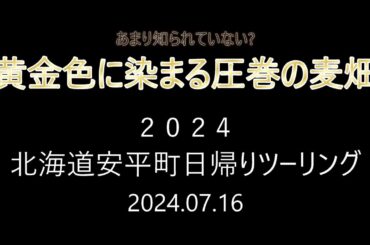 2024北海道ツーリング　安平町黄金色の麦畑　2024.07.16