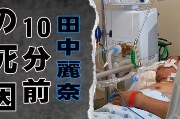 田中麗奈が遺した3億円の借金と豪邸の行方…元夫の秘められた愛と失われた子供に言葉を失う…