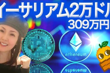 アルトシーズンは年始かも?たった2週間！！