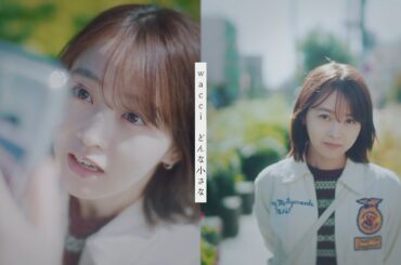 wacci『どんな小さな』Music Video（ドラマ「放課後カルテ」主題歌）