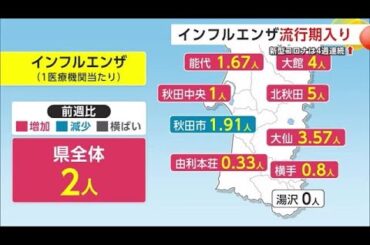 秋田県内で「インフルエンザ」流行期入り　新型コロナ患者数は4週連続で増加 (24/11/21 19:00)
