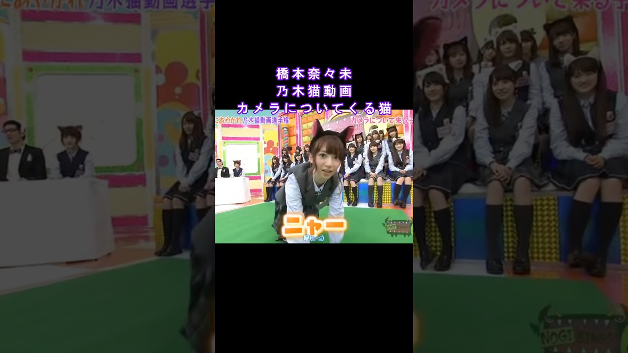 😺 #橋本奈々未 #乃木坂46 #nogibingo #アイドル #idol #shorts