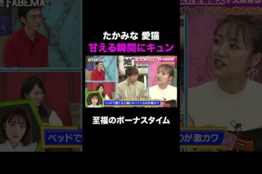 ツンデレ猫が甘える姿にうっとり♡ ｜#ななにー #稲垣吾郎 #草彅剛 #香取慎吾
