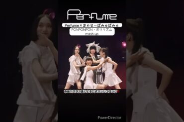 Perfume×きゃりーぱみゅぱみゅ #perfume #きゃりーぱみゅぱみゅ  #prfm #mikiko #中田ヤスタカ #live #shorts
