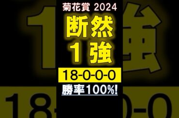 【 菊花賞 2024 】 断然１強！（18-0-0-0）勝率100%！ #競馬 #菊花賞 #shorts