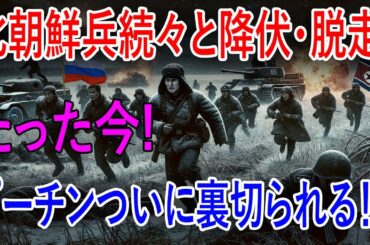 最新ニュース 2024年11月27日