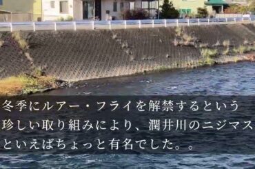下川みくに　それが愛でしょう　　潤井川中流　下川から星山放水路