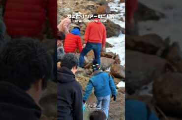 カニとりツアーのご紹介