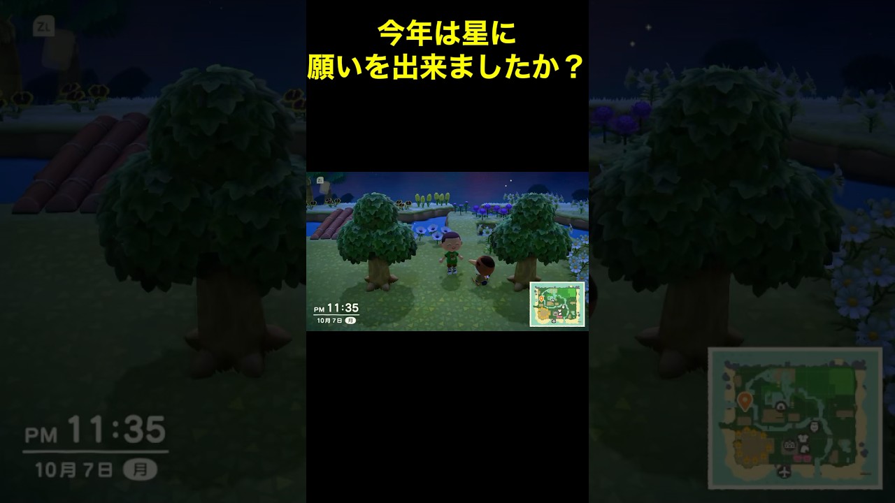 【星に沢山願いを☺️あつ森#103】#shorts#switch#あつ森#あつまれどうぶつの森#ゲーム