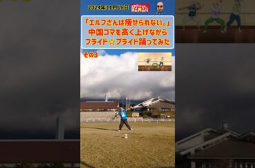 【#ポテトダンス】 超強風で無茶な フライド☆プライド 踊ってみた その3 【エルフさんは痩せられない。】