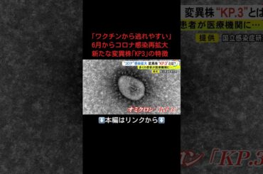 ⬆️本編はリンクから⬆️｢ワクチンから逃れやすい｣6月からコロナ感染再拡大 新たな変異株｢KP3｣の特徴