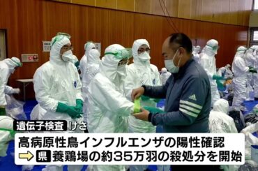 【高病原性鳥インフル】「陽性」確認　今シーズン2例目　養鶏場で飼育の約35万羽を殺処分 《新潟・胎内市》