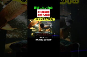 岩屋外務大臣、まさかの中国訪問へ【政治ニュース】
