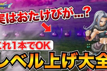 【序盤〜クリア後】結局どれが良い？レベル上げおすすめ場所&メタル狩りに必要な知識まとめ【ドラクエ3リメイク】
