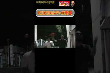 ピコピコハンマーの青春 #shorts #大道芸人 #大道芸