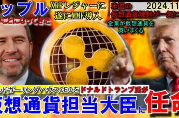 リップル(XRP)のガーリングハウスCEOが仮想通貨担当大臣に!?XRPレジャーにMMFが導入され革命を起こす！ブロックチェーンが世界を変える！