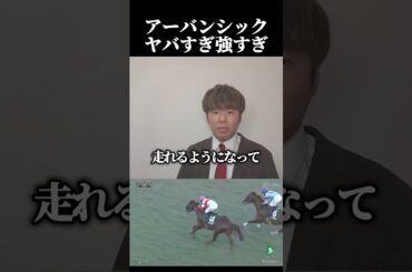 【菊花賞2024】アーバンシックヤバすぎ強すぎ#競馬#競馬予想#菊花賞#菊花賞予想