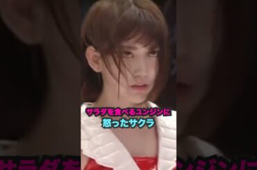 周りにサラダを食べると言ったらさくらと同じ反応だと思うww #lesserafim #shorts