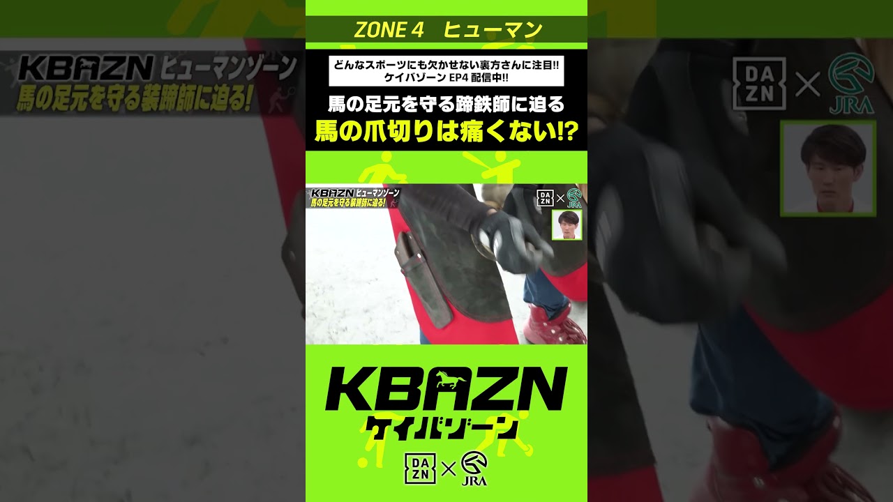 馬の爪切りは痛くない!?|KBAZN(ケイバゾーン)|#dazn #jra #競馬 #横山武史 #大久保嘉人 #佐藤大宗 #ちゃんぴおんず #横山ルリカ 馬の爪切りは痛くない!?|KBAZN(ケイバゾーン)|#dazn #jra #競馬 #横山武史 #大久保嘉人 #佐藤大宗 #ちゃんぴおんず #横山ルリカ