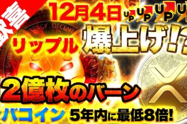 【仮想通貨】12月4日リップル（XRP）に爆上げ確定！？シバコインは12億SHIBをバーンで5年以内に最低8倍の上昇を目指す！（BTC、ETH、XRP、SHIB）