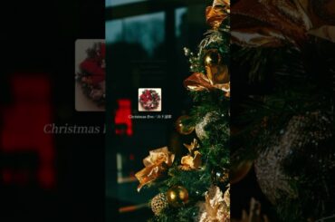 大切な人を想い続けるあなたへ #山下達郎 #クリスマスイブ #ChristmasEve #JR東海 #深津絵里 #牧瀬里穂 #歌詞動画 #音楽