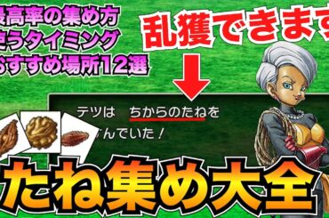 【目指せ999個】結局どこが良い？種集めのおすすめ場所12選&乱獲するための知識まとめ【ドラクエ3リメイクHD-2D】