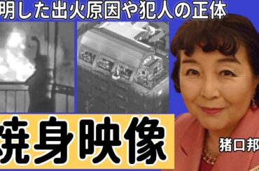 猪口邦子参院議員の家族焼身映像に映り込んだペットボトルの中身が判明...電気火災と言われる証拠に言葉を失う...確認された精神崩壊した現在に驚きを隠せない...