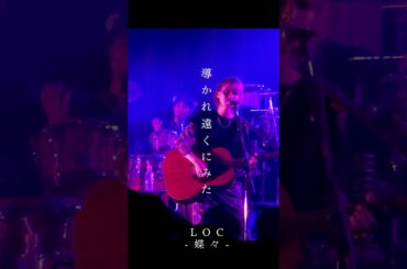 LOC #エルオーシー 『#蝶々』 #shorts #バンド #loc #girlsband #邦ロック #rockband
