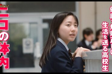 芦田愛菜、好きな先輩の出現に”細胞たち”が大暴れ!永野芽郁・佐藤健らのドタバタ大騒動に注目 映画『はたらく細胞』本編特別映像