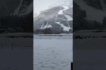 2024 11/30 白馬村のスタバでチャイ飲んだよ　スリングに入ったクーちゃんが可愛すぎる