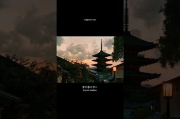 宫本武藏 昭和美人 八千草薰 玉置浩二 宫本  京都可以算最具日本特色气息的城市了 日本旅游 京都 可以算最具日本特色气息的城市了 #专业导游 #Healing #日本旅行攻略 #日本华人地接 #情感