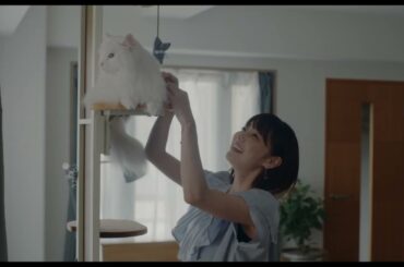 『三日月とネコ』本編映像