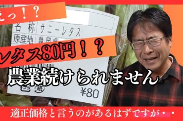 この値段で売られたら三和農園は確実に潰れます・・。（2024.11.29）