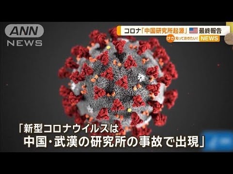 「コロナウイルスは武漢の研究所で出現」米議会下院小委が最終報告 中国は反発【知っておきたい!】【グッド!モーニング】(2024年12月5日) 「コロナウイルスは武漢の研究所で出現」米議会下院小委が最終報告 中国は反発【知っておきたい!】【グッド!モーニング】(2024年12月5日)