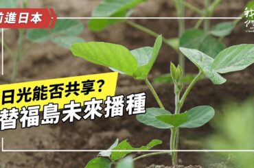 《日光能否共享？》下：福島青年的未來圖像(公視我們的島 第1284集 2024-12-02)