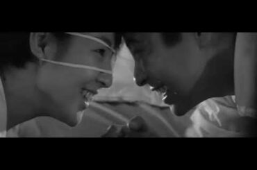 『愛と死をみつめて』主演：吉永小百合、浜田光夫　公開：1964年9月　配給：日活