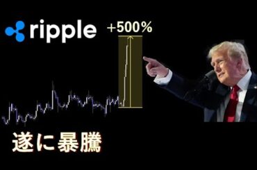 現物の利確について【XRP】