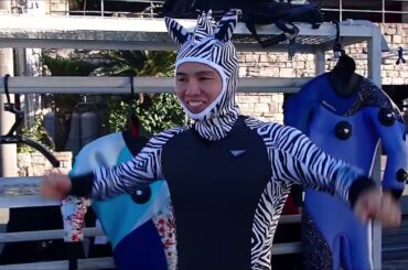 2024/12/01宇佐美　ネコザメとシマウマを見に行くツアー　斬新なシマウマのデビューです！　群馬県伊勢崎市のダイビングショップ