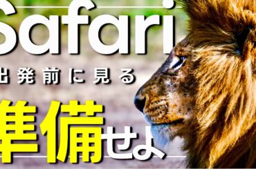 【アフリカ旅行】サファリツアー！ワクチン、持ち物や服装などのポイントを紹介【ケニア/海外旅行】