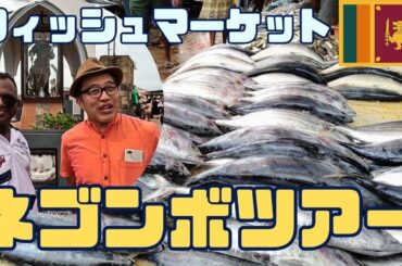 【スリランカ】ネゴンボツアー！フィッシュマーケットなどなどネゴンボの観光スポットを巡りました♪