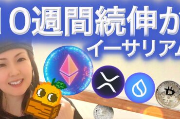 XRP SUI朗報 やったぜ！