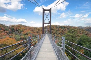 【大阪の紅葉 2024】 大阪府民の森 ほしだ園地　Hoshida-Enchi Park, Autumn leaves in Osaka　(2024.12)