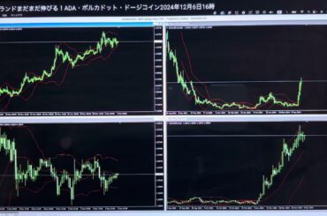 暗号資産億り人が教えるアルゴランドまだまだ伸びる！（ADA.DOT.DOGE相場分析)米倉涼子、佐々木希、柴咲コウ、橋本環奈、和田アキ子、松たか子、参入！